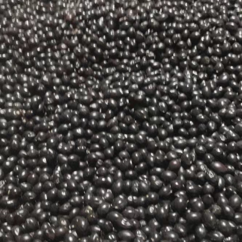 云南优质山豆根种子颗粒饱满 苦参种子 提供种植技术药材广豆根
